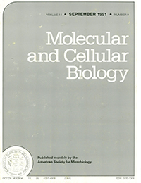 Cover image for Molecular and Cellular Biology, Volume 11, Issue 9, 1991