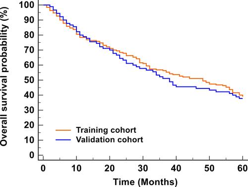 Figure 2 KM analysis for the OS probability of CM patients. The 1-, 3-, 5- year OS rates in the training cohort (78.4%, 56.3%, 43.9%) and the validation cohort (77.8%, 51.6%, 41.0%) were similar.