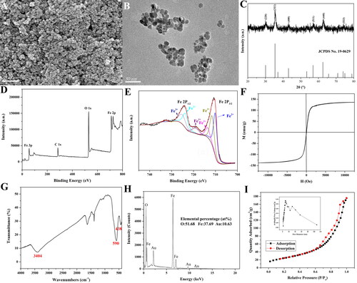 Figure 1. SEM morphology (A), TEM image (B), XRD pattern (C), XPS survey scan spectrum (D), XPS spectra of Fe2p (E), Hysteresis loop (F), FTIR spectra (G), EDS spectrum (H), and BET measurement (I) of magnetic Fe3O4 nanoparticles heated at 170 °C for 24 h with a heating rate of 3 °C/min.