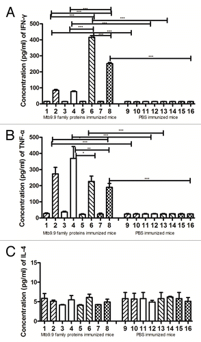 Figure 2. Analysis of antigen-specific production of interferon (IFN)-γ, tumor necrosis factor (TNF)-α and interleukin (IL)-4 by mice immunized with purified recombinant Mtb9.9 proteins in IFA and PBS in IFA, respectively. Splenocytes were then co-cultured with purified recombinant Mtb9.9 proteins or PBS as control. Data are represented as mean ± standard deviations (n = 4). *p < 0.05, **p < 0.01, ***p < 0.001. 1、3、5、7、9、11、13、15: PBS-induced; 2&10: Mtb9.9A-induced: 4&12: Mtb9.9C-induced; 6&14: Mtb9.9D-induced; 8&16: Mtb9.9E-induced.