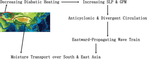 Figure 5. Schematic illustration of the wave-train mechanism. The red oval shows the region of decreasing diabatic heating and divergence. The black oval depicts the area of importance where moisture is converged in association with the wave train.