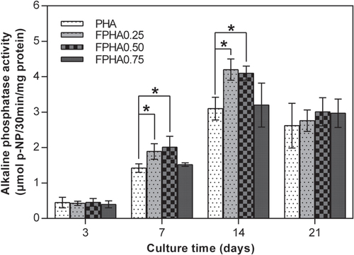 Figure 9. ALP activity of MG63 cells cultured on FPHA over the culture period. By day 7 and day 14, the ALP activity of the cell on FPHA0.25 and FPHA0.50 was significantly higher than that on the control group (∗ indicated p < 0.05).
