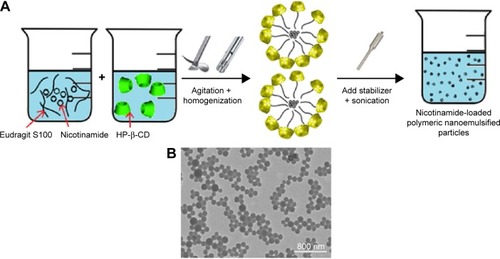 Figure 1 Preparation technique and TEM image of nicotinamide-loaded polymeric nanoemulsified particles.Notes: Schematic development representation (A) and batch 7 TEM image (B) of nicotinamide-loaded polymeric nanoemulsified particles.Abbreviations: TEM, transmission electron microscopy; HP-β-CD, 2-hydroxypropyl-β-cyclodextrin.