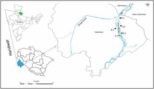 Figure 1. Map of study area showing the five different sampling sites on the Ganga River.