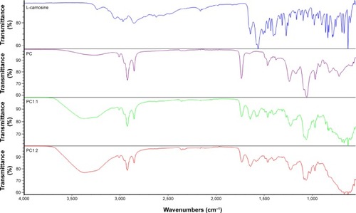 Figure 2 FT-IR spectra for L-carnosine, lipoid s 75, and PC1:1 (left trace) and PC1:2 (right trace).Abbreviations: FT-IR, Fourier transform-infrared; PC, phospholipid complexes.