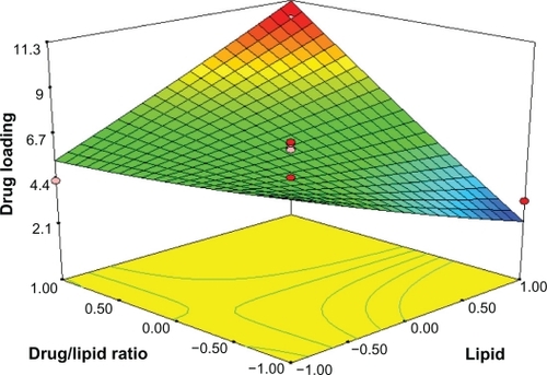 Figure 5 Response surface plot showing effect of the amount of lipid (X1) and drug/lipid ratio (X3) on drug loading (Y2).