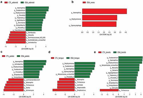 Figure 3. Differentially abundant bacterial taxa identified by linear discriminant analysis (LDA) coupled with effect size measurements (LEfSe) in comparisons of pediatric OSA and controls. a in adenoid site. b in nares site. c in palate site. d in tongue site. e in tonsils site. LEfSe scores measure the consistency of differences in relative abundance between taxa in the groups analyzed (control vs OSA), with a higher score indicating higher consistency. LDA score>3 and P < 0.05 were considered to be significant. The bacterial taxa shown in the figure were all significantly different between the controls and pediatric OSA.