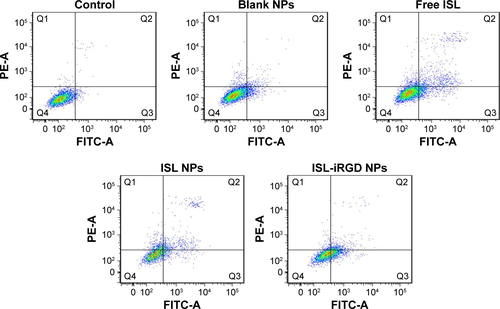 Figure S1 Flow cytometry of different ISL formulations for apoptosis analysis in MDA-MB231 cell lines.Notes: Top left (Q1), necrotic cells (annexin V–FITC−PI+); top right (Q2), late apoptotic cells (annexin V–FITC+PI+); bottom left (Q3), live cells (annexin V–FITC−PI−); bottom right (Q4), early apoptotic cells (annexin V–FITC+PI−).Abbreviations: ISL, isoliquiritigenin; PI, propidium iodide; NPs, nanoparticles.
