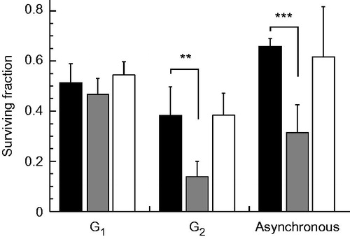 Figure 3. Effect of B02 or NU7026 on heat-induced cell death at different cell cycle phases. H1299 cells were synchronised at G1 and G2 phases, exposed to heat at 44 °C for 20 min in the presence of B02 (10 μM) or NU7026 (10 μM), and grown until the formation of colonies. Filled columns, no inhibitors; grey columns, B02; open columns, NU7026. ** and *** represent p < .01 and p < .001, respectively.