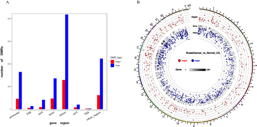 Figure 1 DMR distribution in breast cancer samples. (A) Bar graph represents CG context in the different functional regions. (B) Circos plot represents the distribution of Hyper/Hypo DMR methylation level.