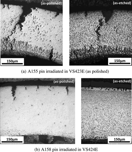 Figure 13 Optical micrographs of ChS-68 cladding fuel pins (A155 and A158) (top of fuel column; distance from core center = 213 mm)