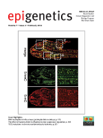 Cover image for Epigenetics, Volume 7, Issue 2, 2012