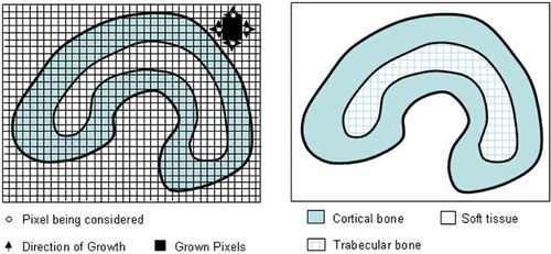 Figure 2. Region-growing image segmentation algorithm.