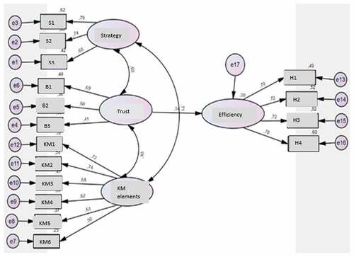 Figure 2. The relationship between trust, strategy, KM elements and organisational efficiency.