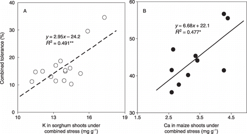 Figure 9  Relationship between combined tolerance and (A) K concentration for sorghum shoots and (B) Ca concentration for maize shoots in low-nutrient (LN) solution under high-Al conditions. *P < 0.05; **P < 0.01.