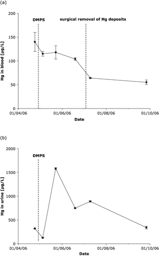 Fig. 3.  Course of mercury in whole blood (a) and excretion in urine, normalised to specific gravity (b), during chelation therapy with DMPS.