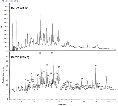 Fig. 3. HPLC-PDA-HRMS analysis of the MHBA fraction. (A) Chromatogram of UV at 270 nm, and (B) TIC of HRMS analysis. Observed m/z and indicated molecular formula of the constituents of each peak shown in TIC and identified compounds are summarized in Table S1 (in Supplemental material).