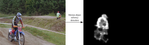 Figure 1. Motion object saliency detection.