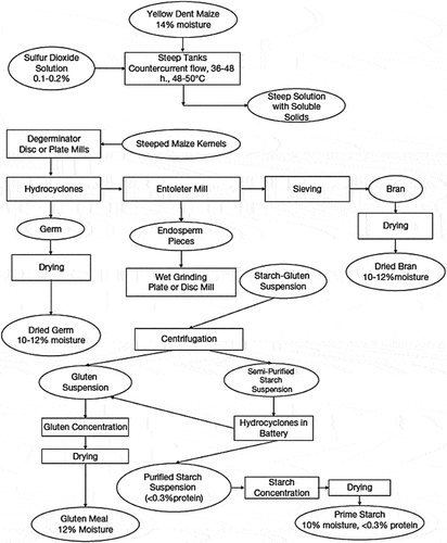 Figure 3. Flowchart of the sulfur dioxide wet-milling process for maize starch production. Reprinted from encyclopedia of food and health, Saldivar, S. O. Serna Perez-Carrillo, E., maize, 601–609, Copyright 2016, with permission from Elsevier, license 5,505,421,441,690.