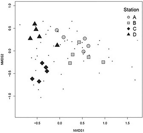 Figure 8. NMDS plot of the composition of the vagile fauna community associated with Sargassum muticum (excluding unsure or rare species, 49 taxa), stress = 0.09. Based on a Bray–Curtis dissimilarity matrix on square-root transformed species density data (individuals per g thallus dry weight).
