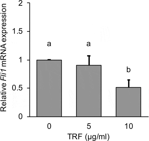 Figure 8. Effect of 0–10 µg/mL TRF treatment on relative Fli1 mRNA expression in MG-63 cells after 24 h.Fli1 mRNA expression was analyzed by real-time qRT-PCR and normalized to RPL32. Data are mean ± SD, n = 3. Bars with different letters differ significantly by Tukey-Kramer’s test (p < 0.05).