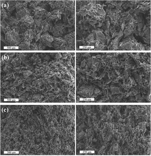 Figure 6. Scanning electron microscope images of the mashed SPFP at different particle sizes: (a) <0.43, (b) <0.25, and (c) <0.15 mm.Figura 6. Imágenes del puré de papa preparado con PPMV procedentes del microscopio electrónico de barrido, considerando distintos tamaños de partículas: (A) < 0,43 mm, (B) < 0,25 mm y (C) < 0,15 mm.