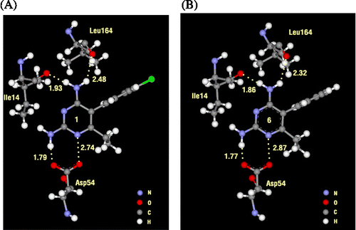 Figure 7.  H-bond distances between inhibitor and residues in the binding pocket; (A) compound 1 and (B) compound 6 (in Å).