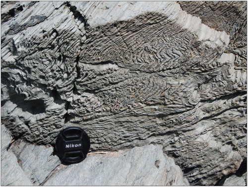 Plate 13. Savin Schist (Oss) at Savin Rock. This northeast-facing image shows the older fabric (Sn-1, Plate 12) refolded by the northwest-dipping schistosity (Sn) in this chlorite-muscovite-quartz mylonite.