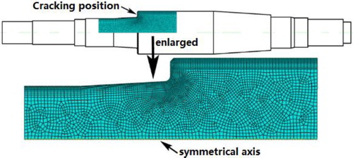 Figure 3. FES mesh of drive shaft.