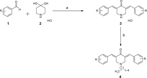 Figure 2 Synthesis of curcumin-inspired derivative.