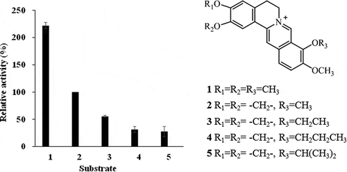 Figure 7. Examination of substrate specificity of recombinant berberine 11-hydroxylase protein. The bar numbers in the graph indicate the compound numbers of the tested substrates: 1, palmatine (PAL); 2, berberine (BBR); 3, 9-O-ethyl berberine (9-O-ethyl BBR); 4, 9-O-propyl berberine (9-O-propyl BBR); and 5, 9-O-isopropyl berberine (9-O-isopropyl BBR). The relative activity was calculated by normalizing 11-hydroxyberberine (H-BBR) production at 60 min against that obtained with BBR (2).