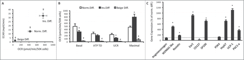 Figure 5. Bioenergetics and gene expression in 3T3-L1 adipocytes following differentiation without phosphodiesterase inhibitors. (A) Cellular bioenergetics measured by cellular oxygen consumption rate (OCR) and extracellular acidification rate (ECAR) in 3T3-L1 cells following normal adipogenic differentiation (Norm. diff.), insulin only differentiation (Ins. diff.), or beige adipocyte differentiation (Beige diff.) (B) Mitochondrial function represented by basal mitochondrial respiration (basal), respiration due to ATP turnover, uncoupled respiration (UCR) and maximal respiratory capacity in Norm. diff., Ins. diff. and Beige diff. 3T3-L1 adipocytes. (C) Expression of genes that discriminate white, beige and brown adipocytes in Norm. diff. and Ins. diff. 3T3-L1 adipocytes. Data are represented as mean ± SEM, n = 6 −10 biological replicates per group. † Denotes significantly different from Ins. diff. cells for both OCR and ECAR. * Denotes significantly different from Norm. diff. # Denotes significantly different from Norm. diff and Ins. diff.