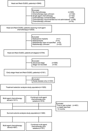 Figure 1. Flow diagram for the selection of our cohort. DLBCL = diffuse large B-cell lymphoma.