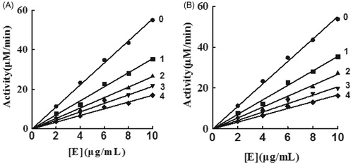 Figure 2. Inhibitory mechanisms of KADs on mushroom tyrosinase. A and B represent KAD1 and KAD2, respectively. The concentrations of KAD1 for curves 0–4 were 0, 5.83, 11.67, 17.50 and 23.33 μM, respectively. The concentrations of KAD2 for curves 0–4 were 0, 3.75, 7.50, 11.25 and 15.00 μM, respectively.