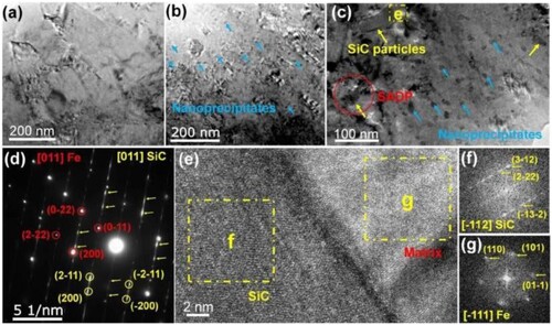 Figure 29. TEM microstructure analyses of the LPBF-processed MS and M3 samples. (a) BF-TEM of MS, (b) and (c) BF-TEM of M3 at different magnifications, (d) SAED of the encircled region in (c), a close-view of the SiC-matrix interface taken from region e in (c), and FFTs of (f) SiC and (g) matrix corresponding to zones f and g indicated in (e). Reprinted with permission from [Citation156].