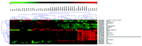 Figure 1. Unsupervised clustering analysis of the normal cervical tissue (N), CIN3 tissue (CIN3), and the cervical cancer tissue (CC). The color gradient green to red displays the β-value and can range from 0–1.