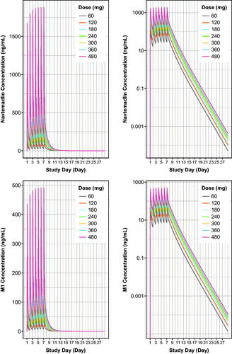 Figure 5. Model-based simulations of steady state navtemadlin PK (upper panels) and glucuronide metabolite M1 PK (lower panels) for 60–480 mg navtemadlin doses given once daily for 7 days over one 28-day cycle in healthy volunteers. Curves are based on the typical healthy volunteer, i.e. the volunteer with the population parameter estimates from the PK model. The top row demonstrates navtemadlin linear scale (left panel) and a semi-log scale (right panel). The bottom row shows M1 linear scale (left panel) and a semi-log scale (right panel). Navtemadlin and M1 concentrations increase with dose. QD: once a day dosing.