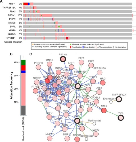 Figure 9 Genetic alterations associated with hub genes in TCGA HNSC.