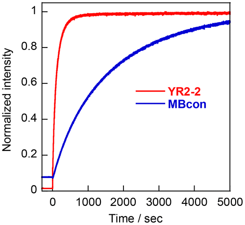 Figure 5. Responses of YR2–2 and conventional molecular beacon (MBcon) to the target (tgt1). Target RNA was added at the point of 0 s. Conditions: 0.2 μM probe strands, 0.4 μM tgt1, 100 mM NaCl, 10 mM phosphate buffer (pH 7.0), 20 °C.