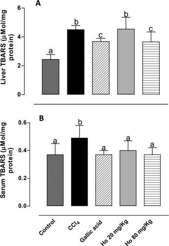 Figure 2. (A) Liver and (B) serum TBARS levels from control, CCl4-treated, GA-treated, and Halimeda opuntia-treated rats. Different letters indicate statistically significant differences, P < 0.05.