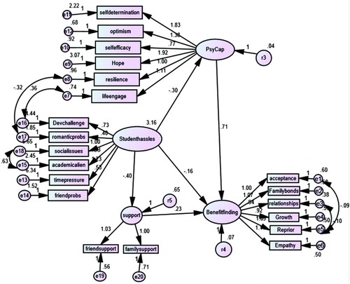 Figure 2. Structural equation model for benefit finding on psychological capital, social support and student daily hassles. Chi-square (162) = 419.83, p < .001; IFI = .95; CFI = .95; RMSEA = −.05 (CI = .046−.056).