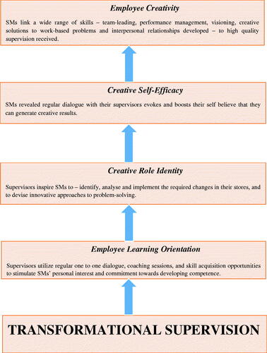 Figure 1. Linking transformational supervision with employee creativity.