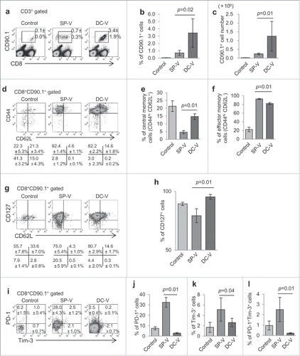 Figure 1. Priming and expansion of antigen-specific pmel-1 CD8+ T cells by cancer vaccines. To increase the frequency of naive gp100-specific CD8+ T cells, 1 × 107 spleen cells (14.5 ± 2.7% of which were CD8+Thy1.1+hgp100 tetramer+) from pmel-1 transgenic mice were adoptively transferred into C57BL/6 mice prior to vaccination. These mice then received SP-V or DC-V. Vaccines were administered on days 0 and 14. On day 28, spleen cells from vaccinated mice were analyzed by flow cytometry to evaluate the quantity and quality of vaccine-induced pmel-1 CD8+ T cells. (a) Pmel-1 CD8+ T cells were detected as CD8+CD90.1+ cells by flow cytometry. One plot from each group is depicted. Numbers indicate the frequency of CD8+CD90.1+ cells from a representative mouse. Percentages (b) and absolute cell numbers (c) of CD8+CD90.1+ cells are shown. (d) CD44 and CD62L expression by CD8+CD90.1+ cells. Numbers indicate the frequency for each quadrant from a representative mouse. Bar graphs demonstrate percentages of pmel-1 cells with the CD44hiCD62L+ central memory phenotype (e) and the CD44hiCD62L− effector memory phenotype (f). (g) CD127 and CD62L expression by CD8+CD90.1+ cells. (h) Percentages of CD127+ cells. (i) PD-1 and Tim-3 expression by CD8+CD90.1+ cells. Bar graphs display percentages of PD-1+ (j) Tim-3+ (k) and PD-1+Tim-3+ (l) cells. Data are representative of three experiments with 4 mice per group.