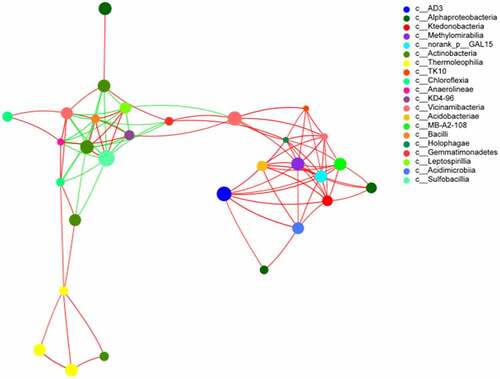 Figure 7. Network correlation network analysis of soil at different depths
