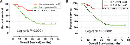 Figure 2 Kaplan–Meier survival curve of overall survival in patients: (A) Sarcopenia; (B) NLR.