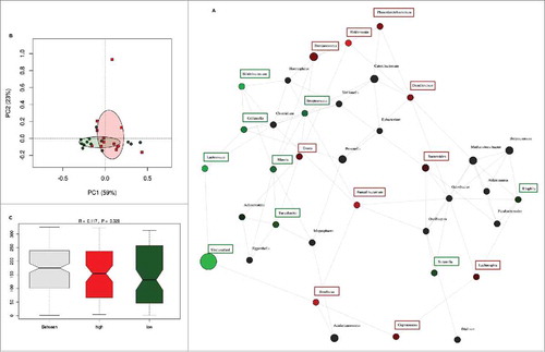Figure 4. Network analysis after correction of dietary fiber by total energy intake. (A) Network analysis based on high (n = 13) and low (n = 13) dietary fiber intake. Genera are represented as nodes. Green nodes represent genera overrepresented in the low-fiber group. Red nodes represent genera overrepresented in the high-fiber group. Color intensity explains the strength of the associations with fiber intake. (B) Principal component analysis showing the clustering of selected samples based on high (red) and low (green) fiber intake. (C) Identification of significant associations between low and high dietary fiber groups by Anosim test.
