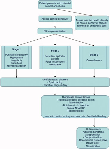 Figure 1. Overview of clinical management of neurotrophic keratitis according to the stage of the condition.
