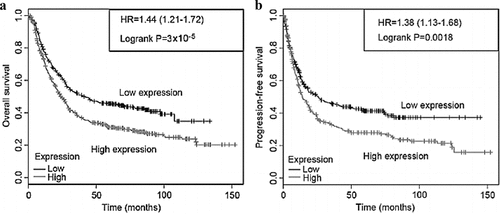 Figure 4. Effect of CCND1 gene on survival rate of ovarian cancer patients