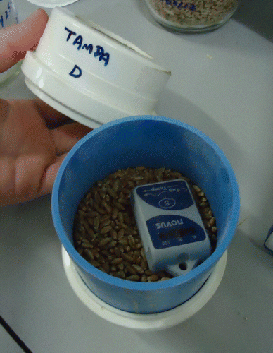Figure 5. Jar used in the experiments.