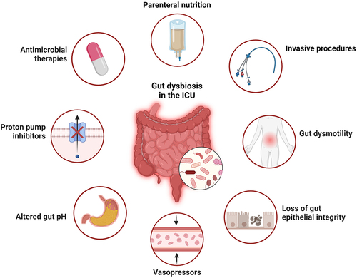 Figure 2. Factors contributing to dysbiosis in critical illness. Multiple factors contribute to the significant shifts observed in microbial ecology of the gut during critical illness, including host intrinsic factors (circulatory shock, systemic acidosis, altered mucosal blood flow, inflammation, and others), as well as host extrinsic influences (antibiotics, nutritional alterations, medications, invasive devices, and others). Created in BioRender.com.